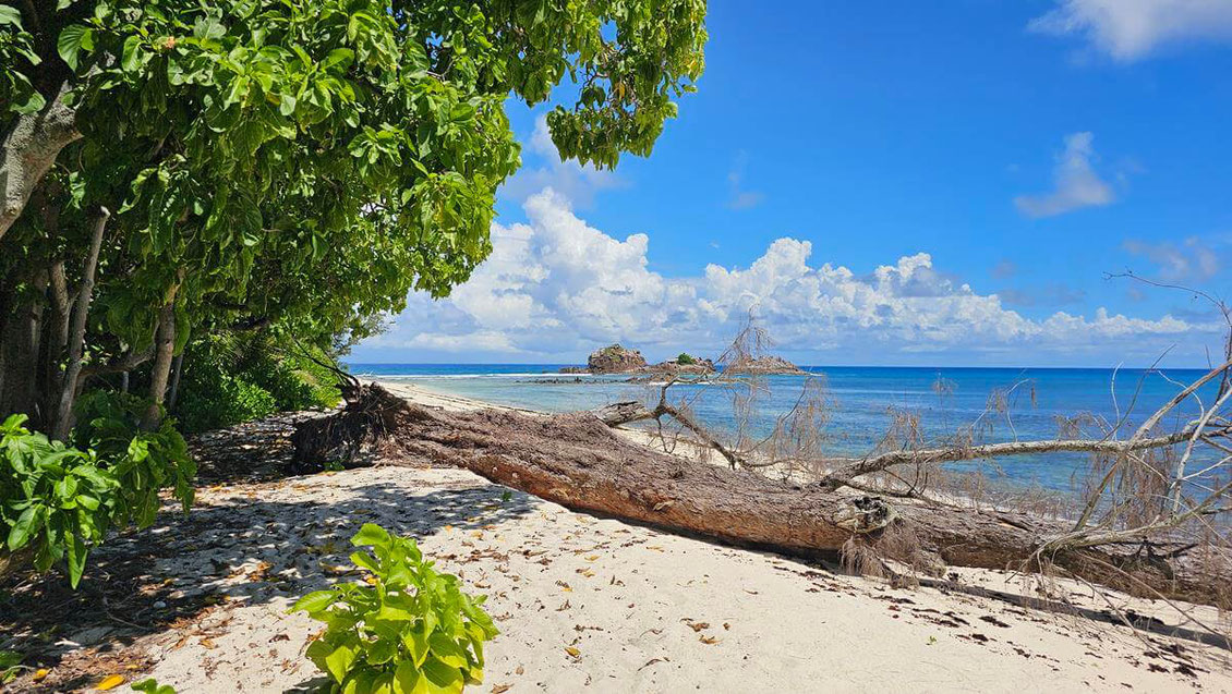 Cousin Island