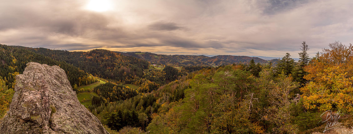 Schwarzwald,nordschwarzwald,natur,schönste,wanderungen,fotografie