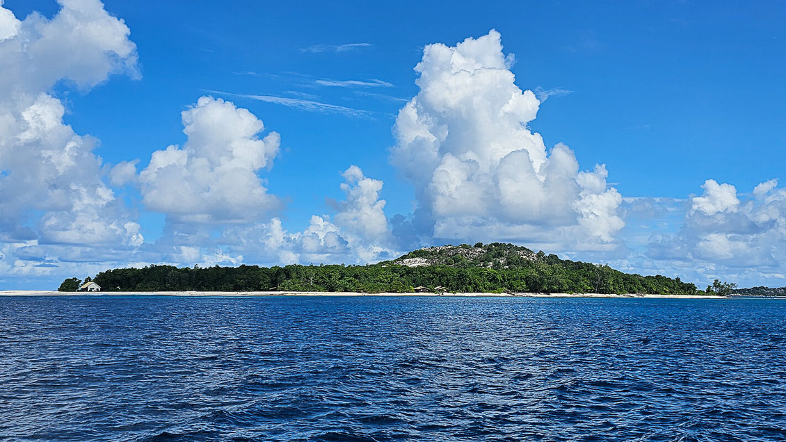 seychellen, kreuzfahrt, segelreise, praslin, cousin island, inselhopping, natur, schildkröten, vögel