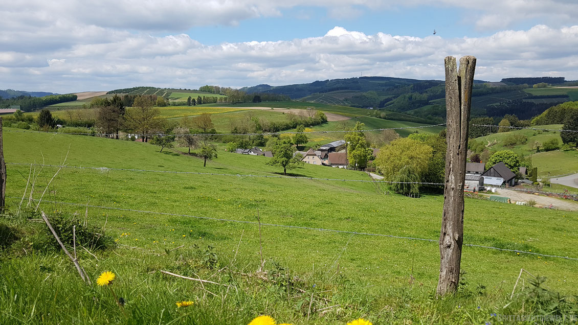 sauerland, reiste, r1, wandern, wanderung, rundwanderung, aussicht, meschede