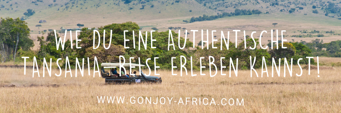 authentische Tansania Safari