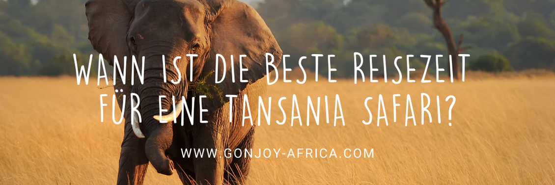 Beste Reisezeit Tansania Safari