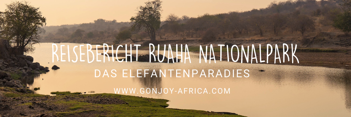 Ruaha River, Ruaha Nationalpark Tansania