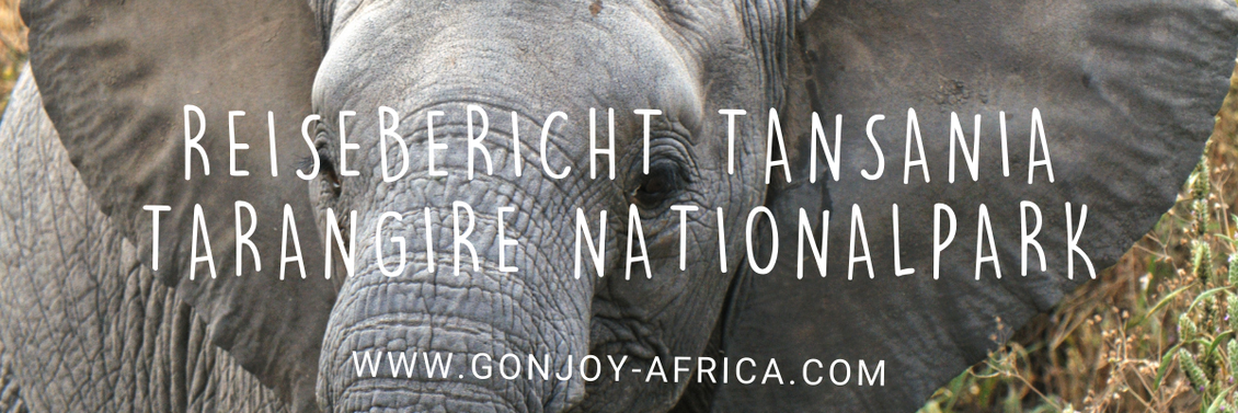 Tarangire Nationalpark Tansania Safari