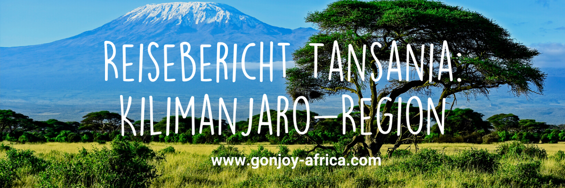 Reisebericht Safari in Tansania