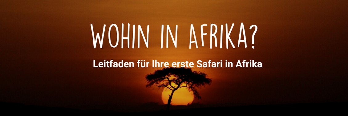Wohin in Afrika reisen?