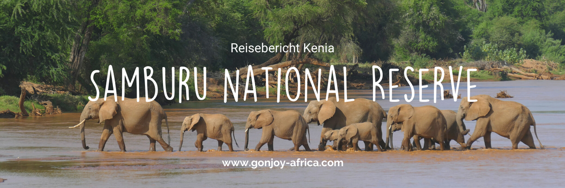 Reisebericht Kenia Safari in Samburu