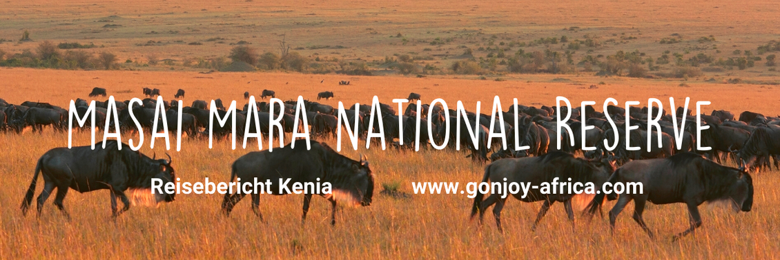 Reisebericht Masai Mara Kenia