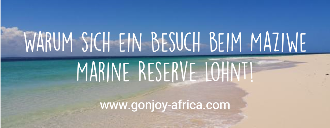 Maziwe Marine Reserve Tansania