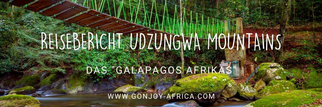Udzungwa Mountains Tansania