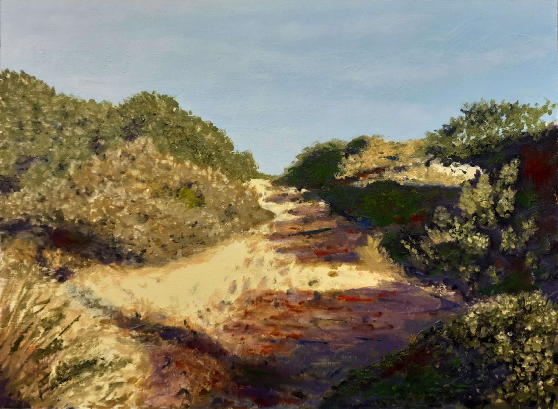 Sendero arenoso entre vegetación densa iluminada por el sol en El Saler.