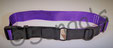 Halsband Aktivstall Pferd