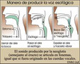 Imagen de Jose Mª. Miro Pinchar para ampliar