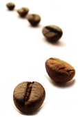 Kaffee-Bohnen