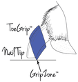 Zeichnerische Darstellung Hundekralle mit ToeGrips® und GripZone
