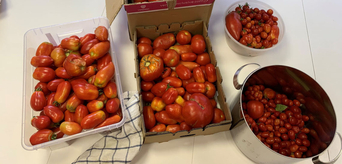 Tomates du potager collectif de BE38