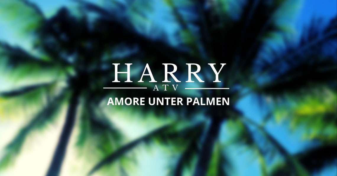 Amore unter Palmen - harald-mayrs Webseite!