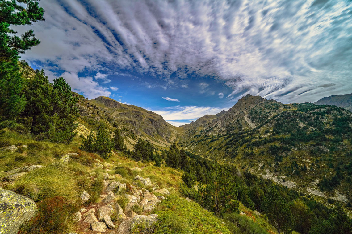 Roland Valter # Naturfotografie # Landschaftsfotografie # Aachen
