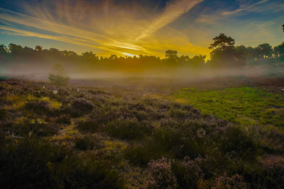 Roland Valter # Naturfotografie # Landschaftsfotografie # Aachen