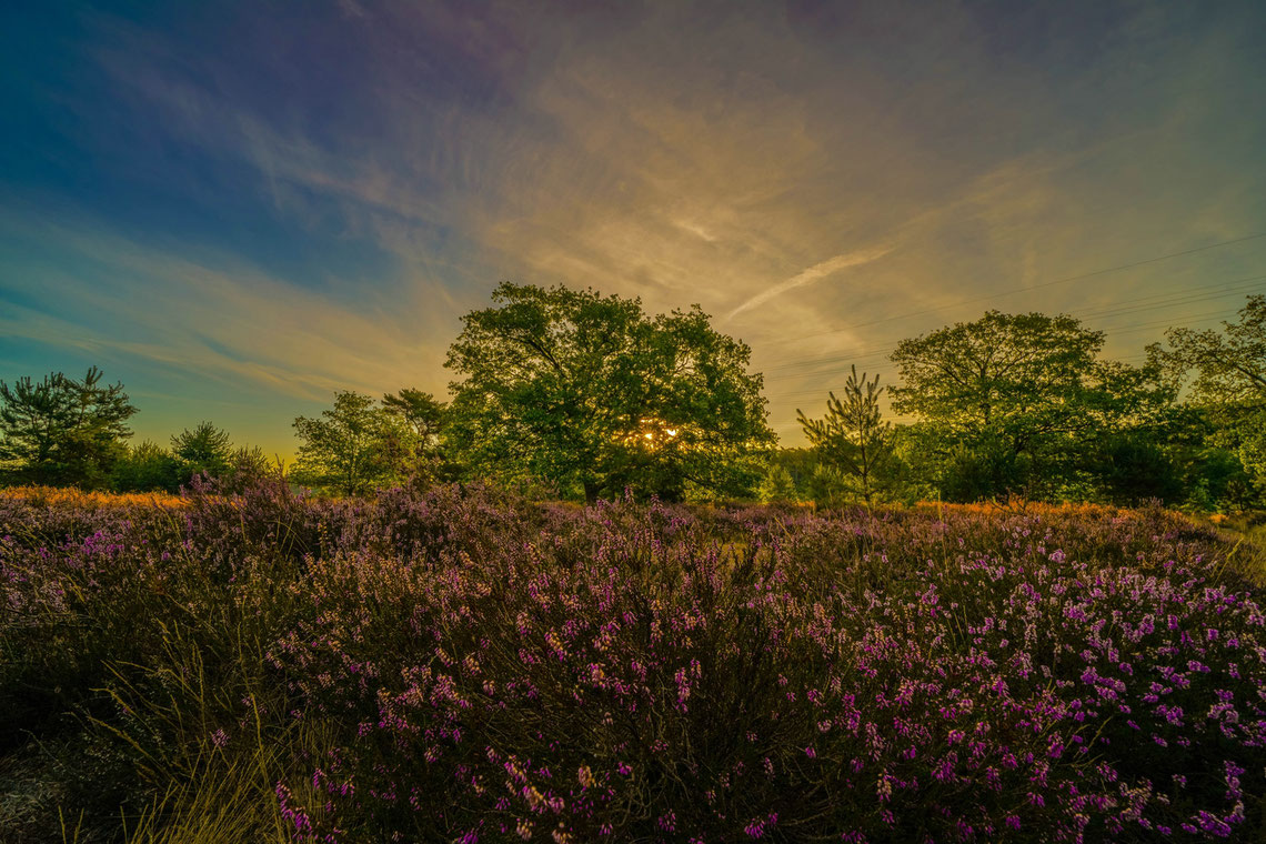 Roland Valter # Naturfotografie # Landschaftsfotografie # Aachen