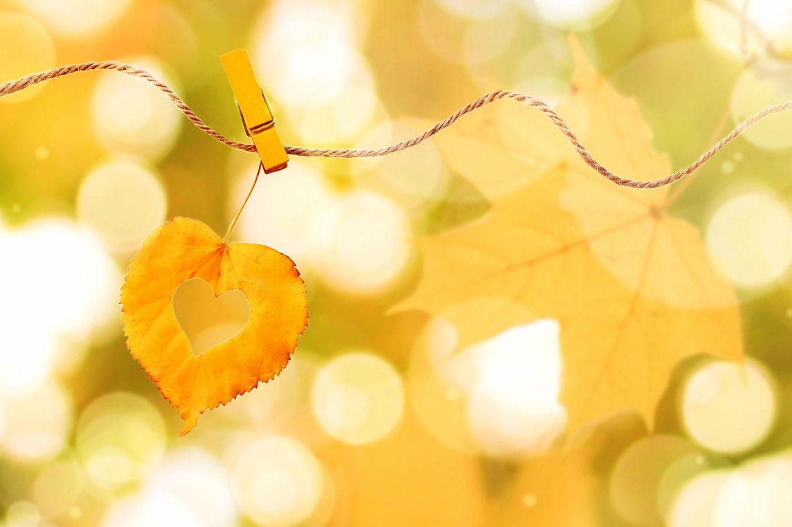 Mindfulness Zelfcompassie Mind-Workz Uden
