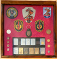 Display/ Vitrine COBRA neu
