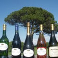 Domaine mas pignou