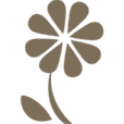 éclosion-fleur