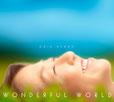 綾戸智恵 Wonderful World