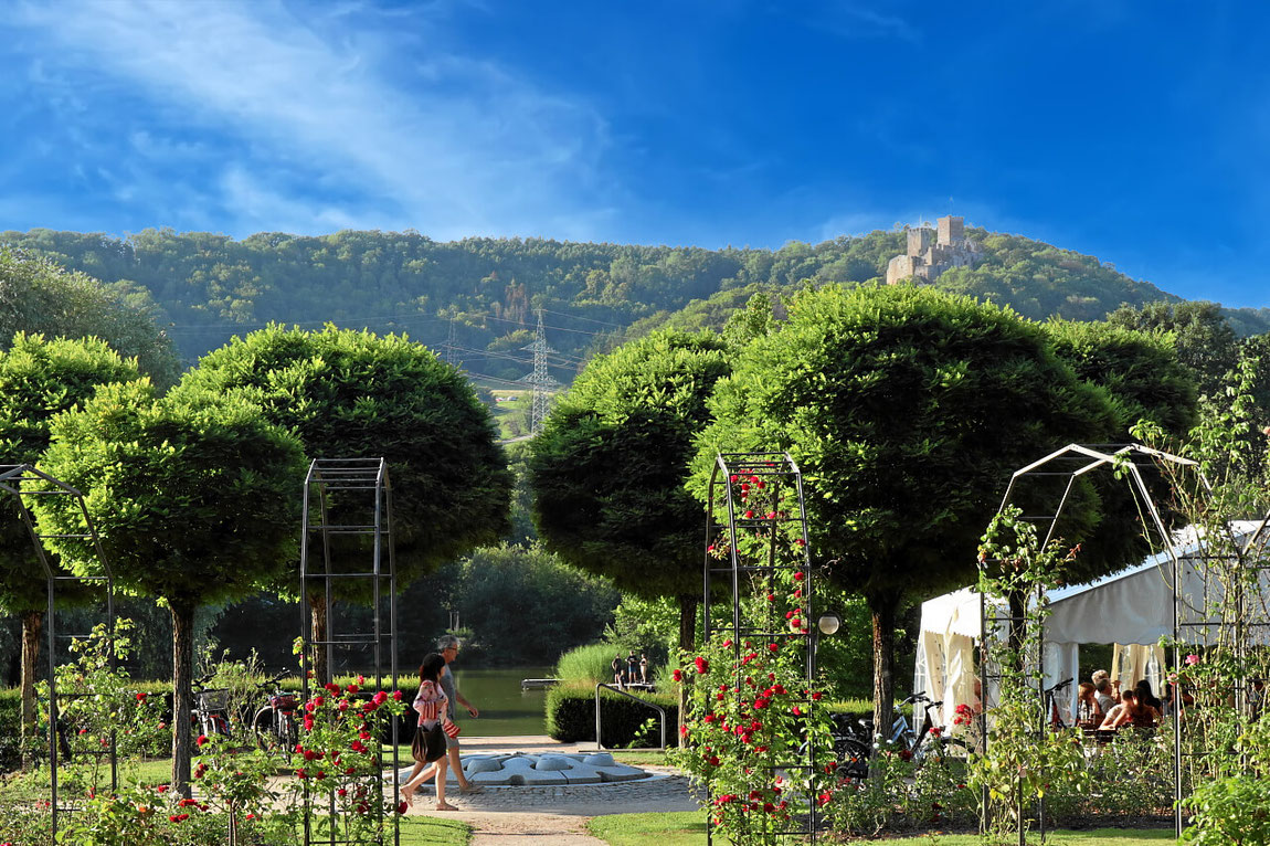 Der Rosengarten beim Restaurant Rosengarten