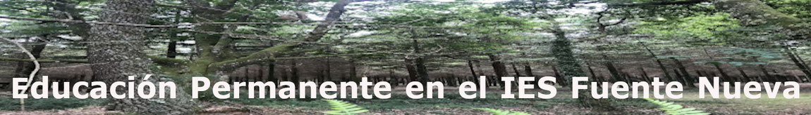 Página web de iesfuentenuevapermanente