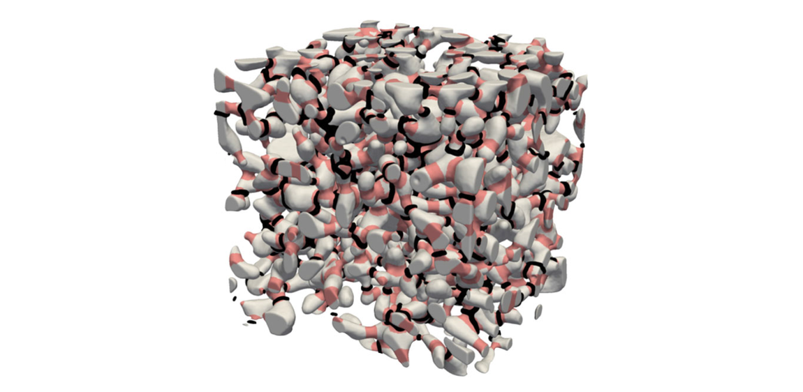 Image: 3D view of a snow sample (1 cm3). The bonds between snow grains were defined using either the method of mechanical stress computation (black rings) or the new algorithm based on geometrical clues (pink zones).