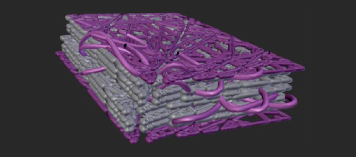 Image: pictorial representation of surface grafted micro-fibrillated cellulose film
