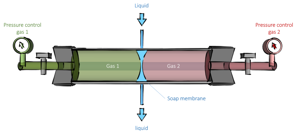 Illustration of one of the experimental setups that are used to test the diffusion capacity of a soap membrane