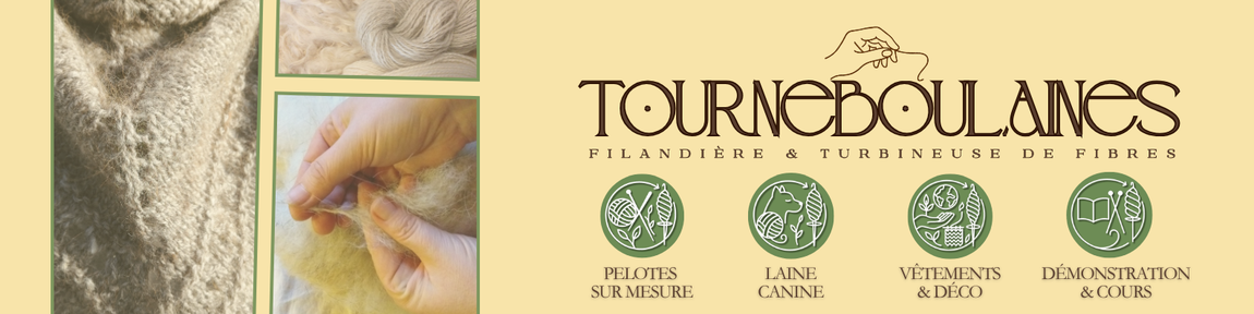 Site de tourneboulaines !