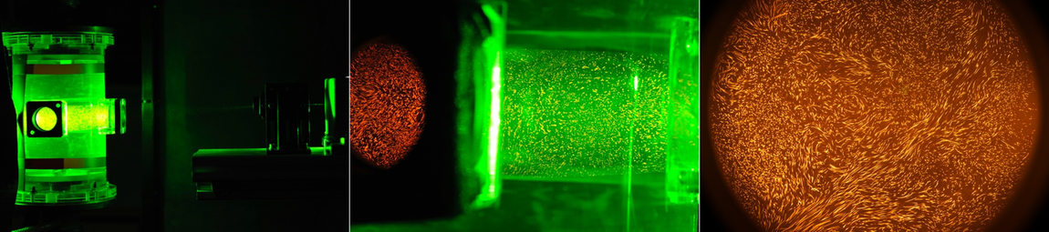 Polystyrene particles (10 µm) doped with Rhodamine in a turbulent flow. The flow is illuminated by YAG laser sheet and the fluorescent particles are isolated from the illuminated background by a red filter (exposure time: 1/250 sec). 