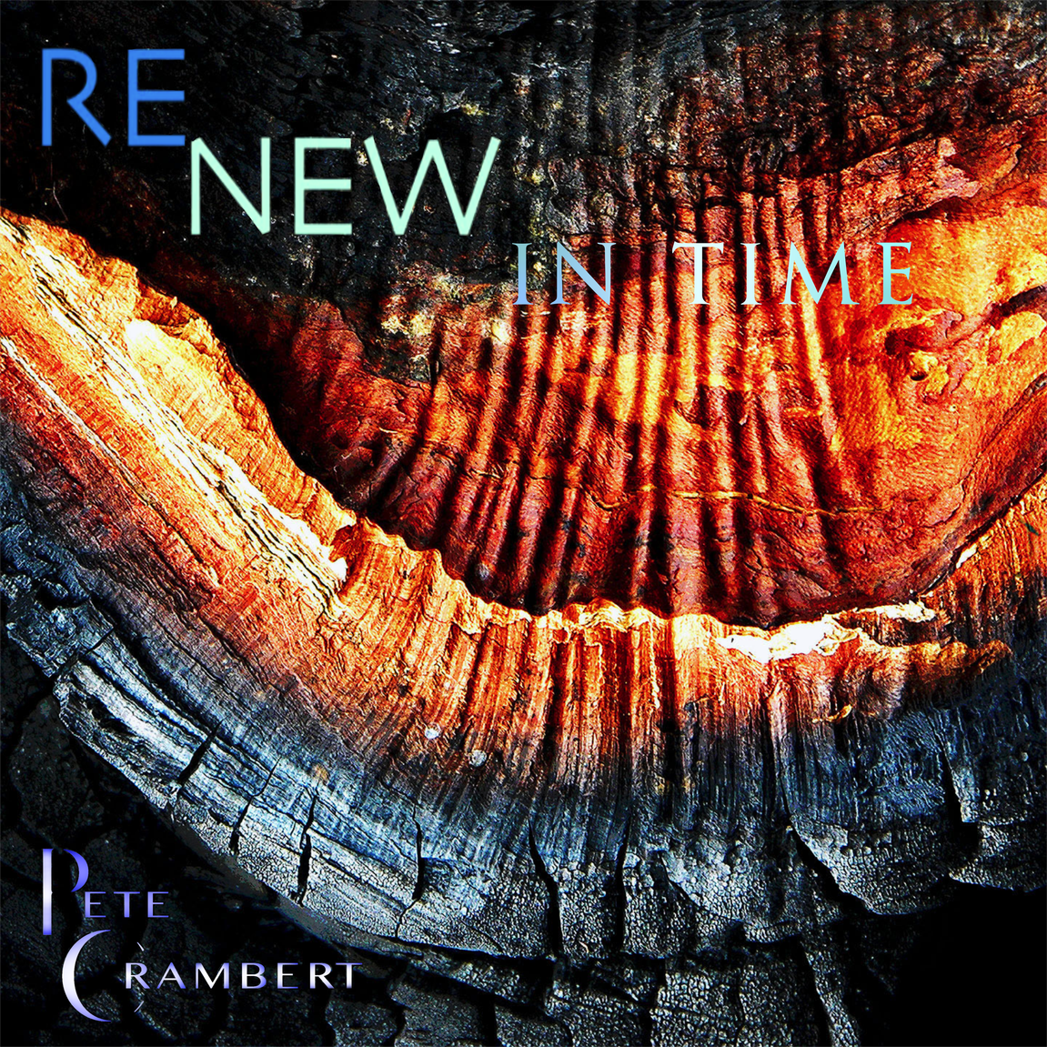 Album cover “Renew in Time”: an intense play of colors on a charred section of a tree stump.