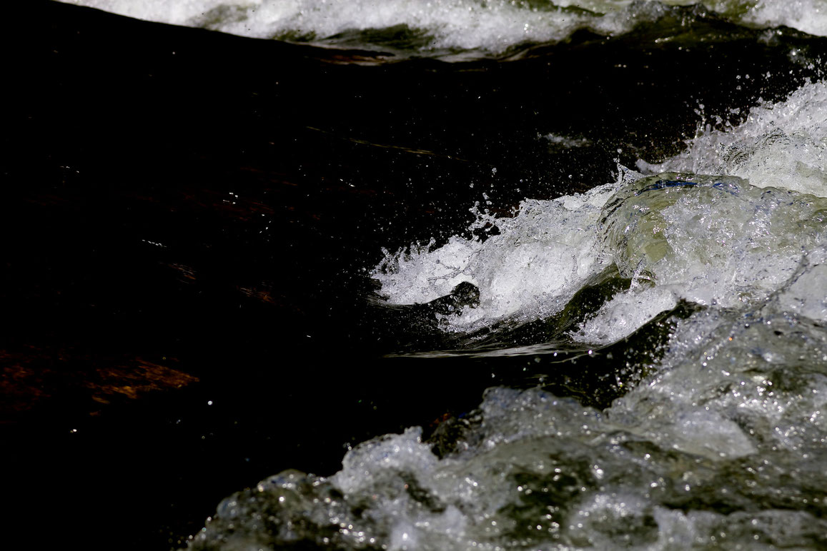 ISAR. Molekulare Verdichtung einer gefährlichen Liebschaft.  7 großformatige Werke über das FLIMMERN, DONNERN und GROLLEN der Isar.  Text:  Die Isar molekular auflösen. Ihr Wesen im Innern erlebbar machen. Das ist die Absicht des Werkes. Das zarte Flimmer