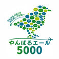 沖縄プロジェクト