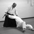 Professeur du dojo Mori Shiba à Nantes