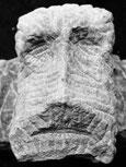Sandstein,gesicht,bildhauerarbeit,kunst,andreas lindegger,