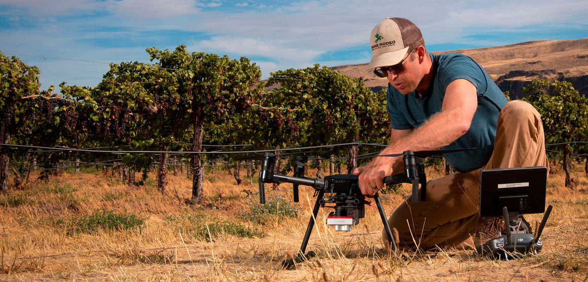 Micasense y DJI tenemos las mejores soluciones para agricultura de precisión en análisis de cultivos con drones y cámaras multiespectrales