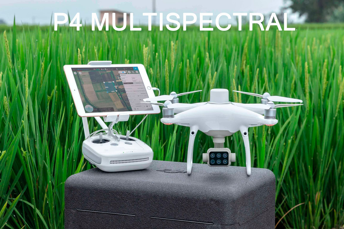 DJI P4 Multiespectral