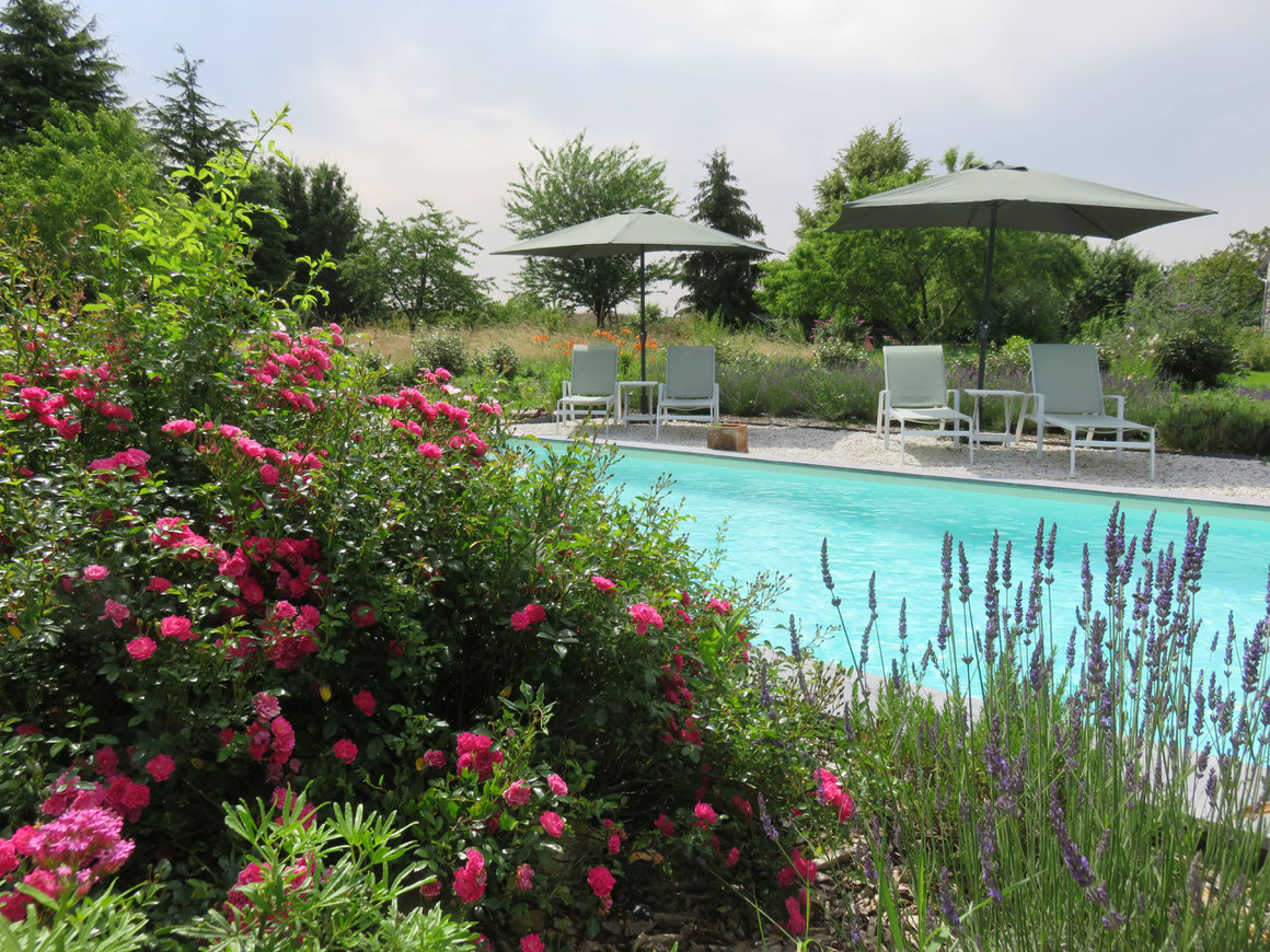 Chambres d'hôtes avec piscine à la campagne