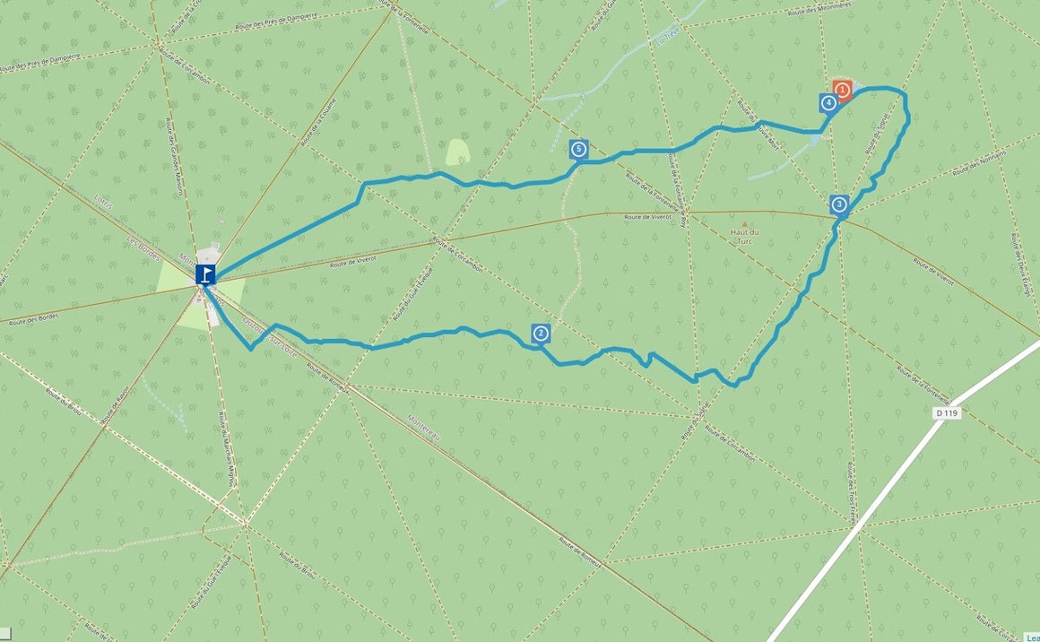 Sentier des sources en forêt d'Orléans