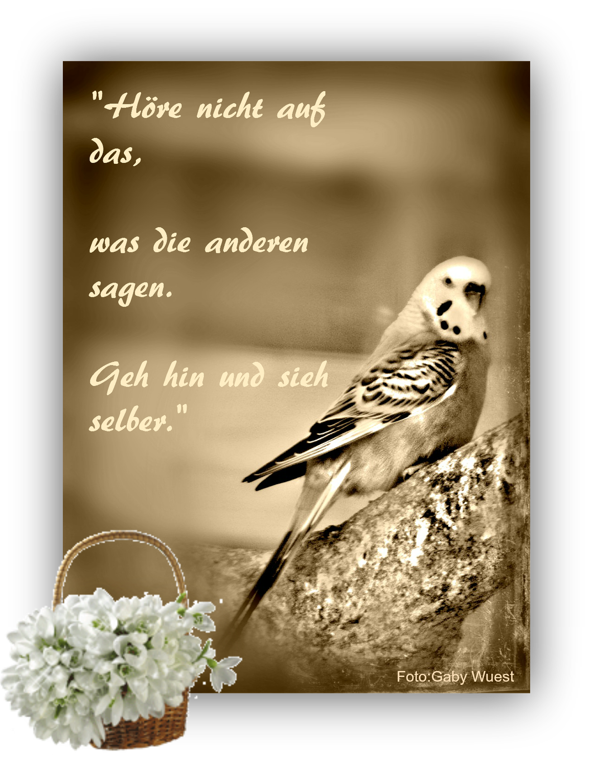 2. Mose 23, 20: Siehe, ich sende einen Engel vor dir her, der dich ...