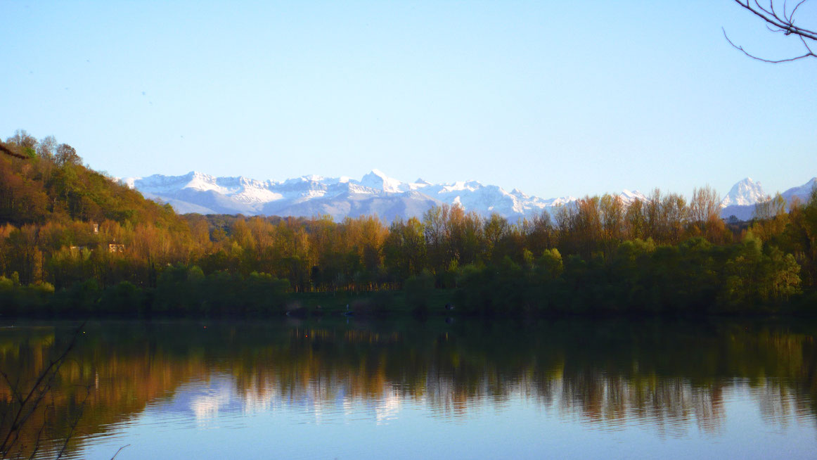 pêche sur le lac IKTUS Carpe