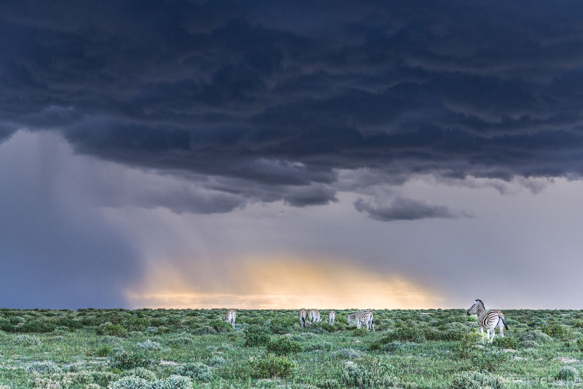 Regenzeit im Etosha Nationalpark in Namibia während einer Safari mit Gewitter.