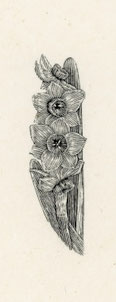 2023　春を呼ぶ花 Flowers Calling Spring　6.5x1.9cm  Limited Edition 36　木口木版 ¥9,500