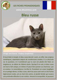 fiche chat pdf race bleu russe comportement caractere origines poil sante couleu